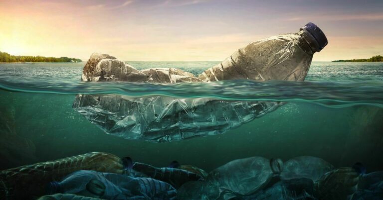 Are You Contributing to the Plastic Waste Problem?