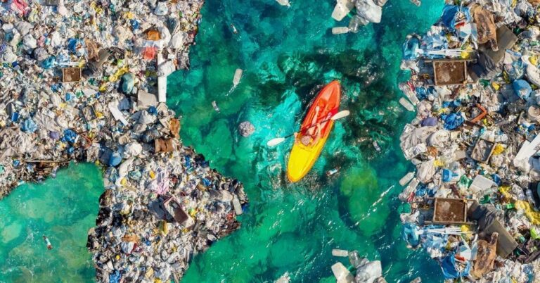 4 Glaring Effects of Single-Use Plastic On The Environment