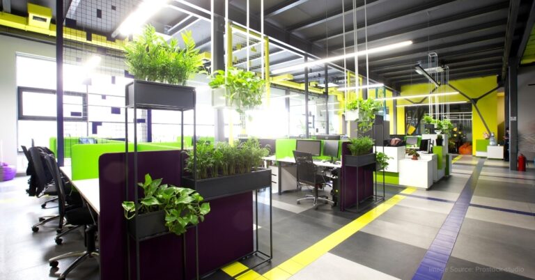 Turn Your Office Into an Eco-friendly Working Space in 6 Easy Steps