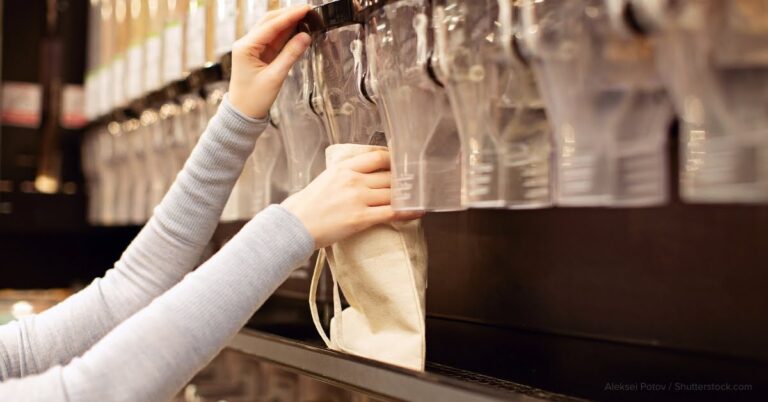 Education in Sustainability: Empowering a Plastic-Free Future