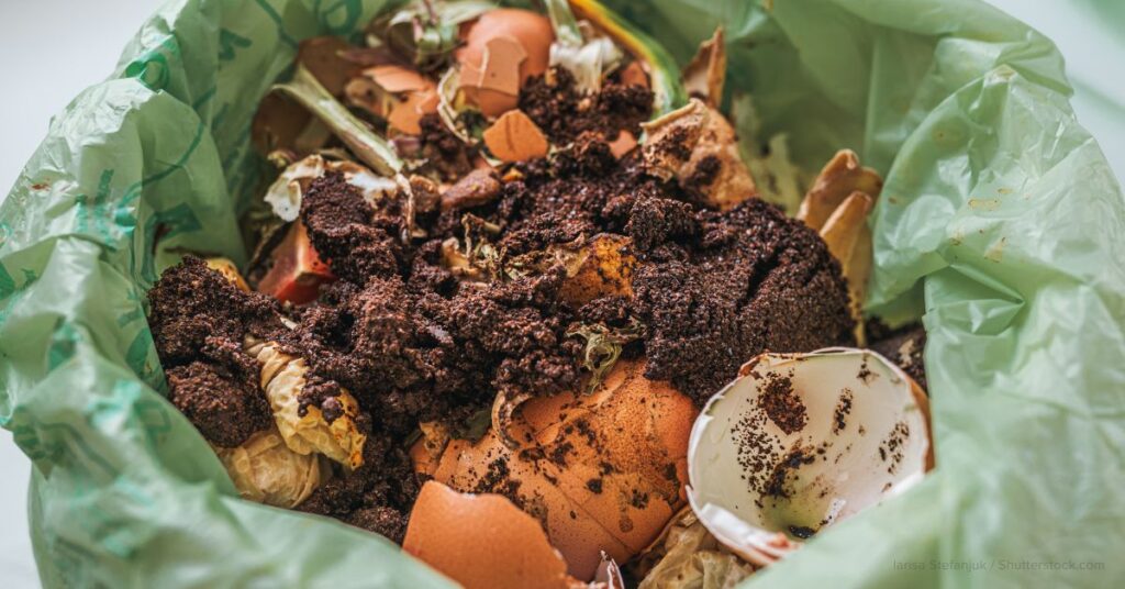 disposing cassava and corn starch bags