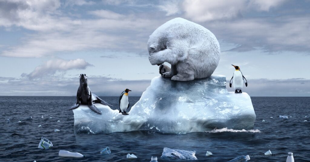 how do eco-friendly plastics impact animals