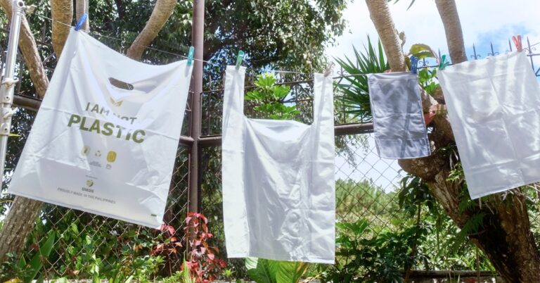 Why the Philippines Support Eco-Friendly Packaging Movements