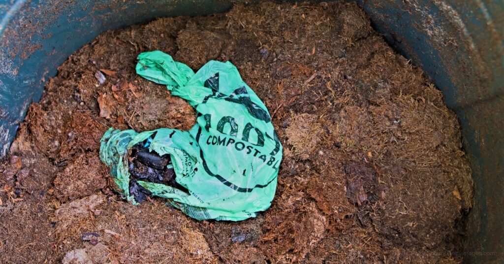 sustainability of packaging