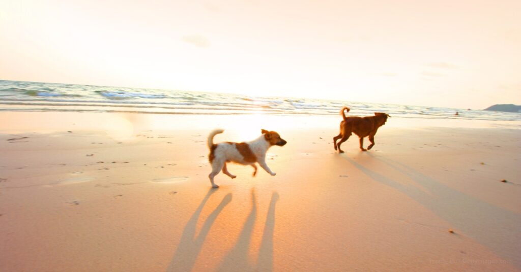 how to make sustainable packaging