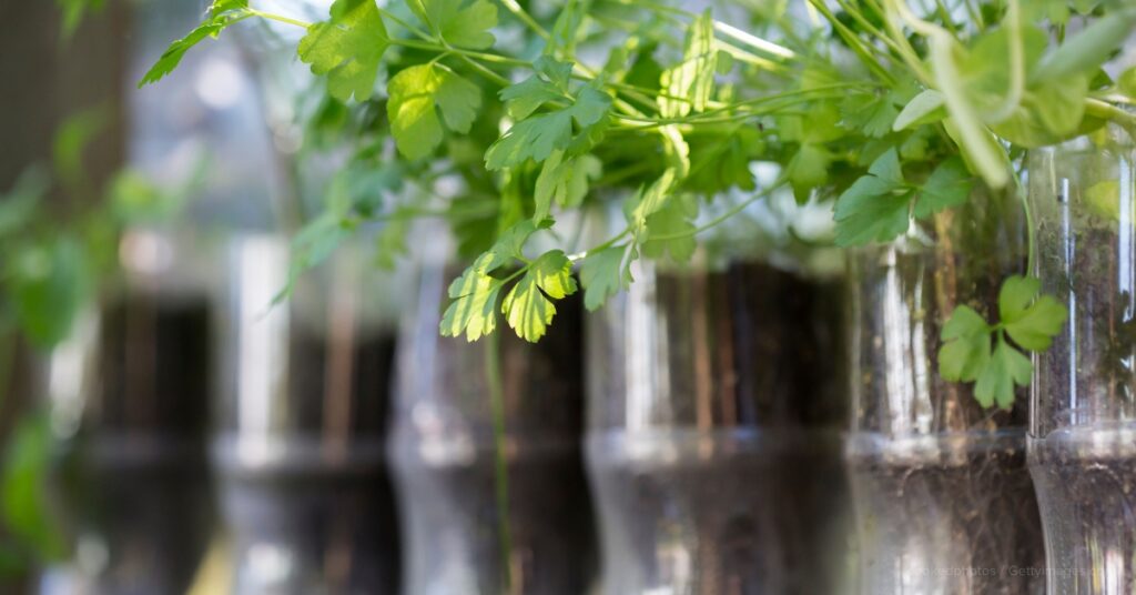 national recycling day