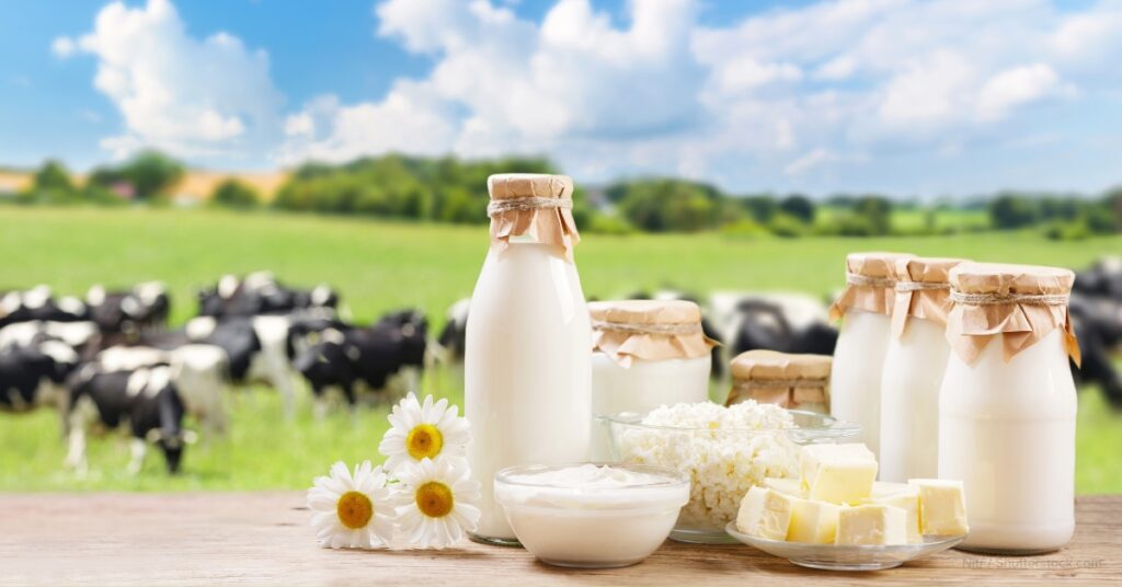 sustainable packaging in the dairy industry
