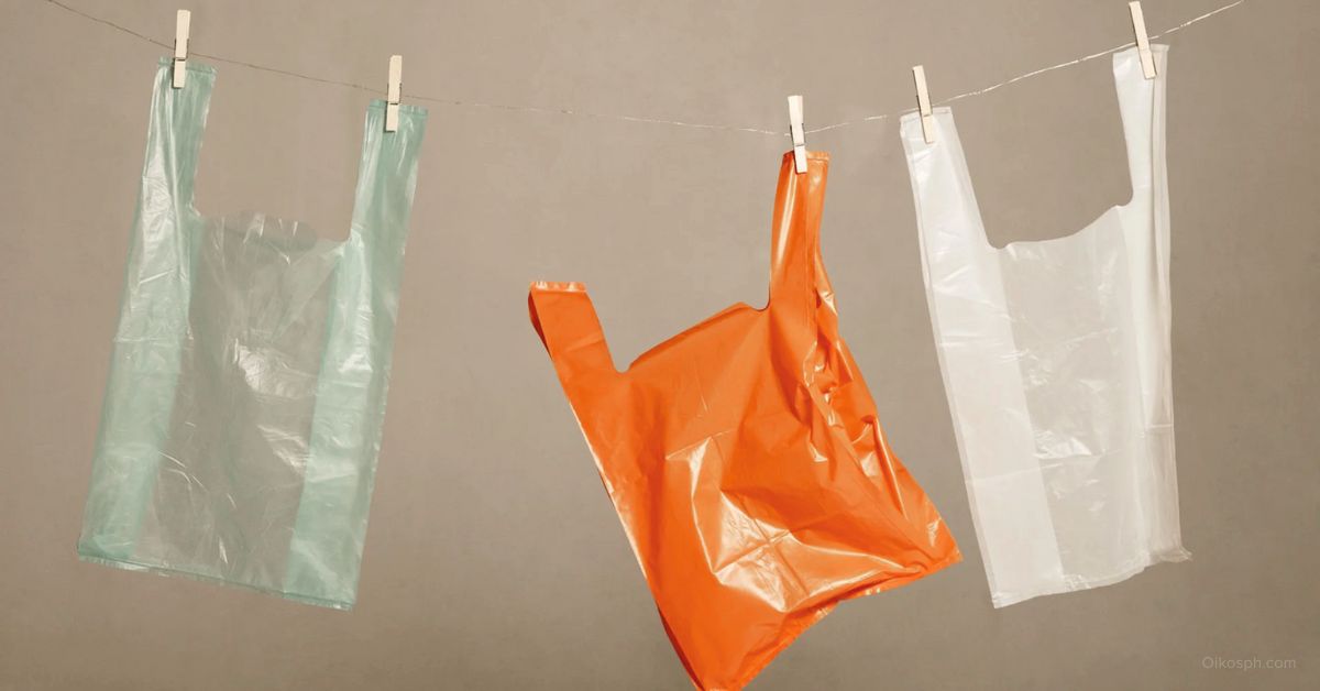 plastic bag alternatives