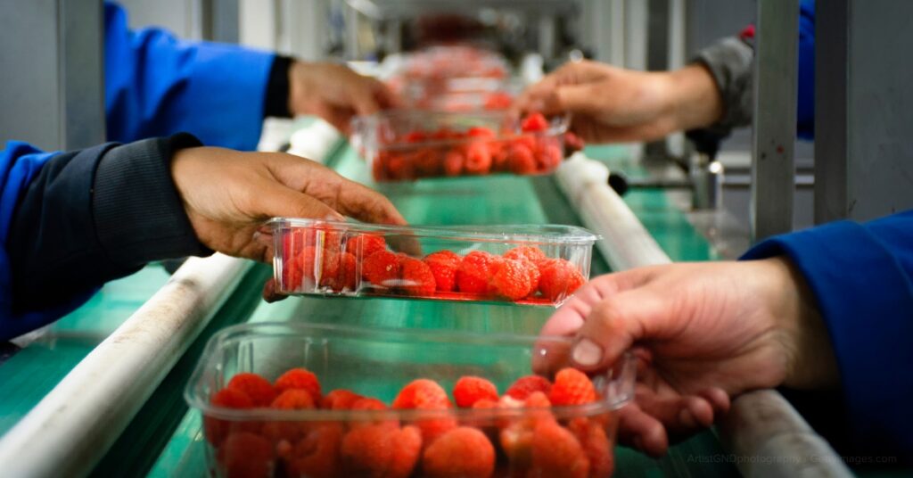 food-safe plastic bags