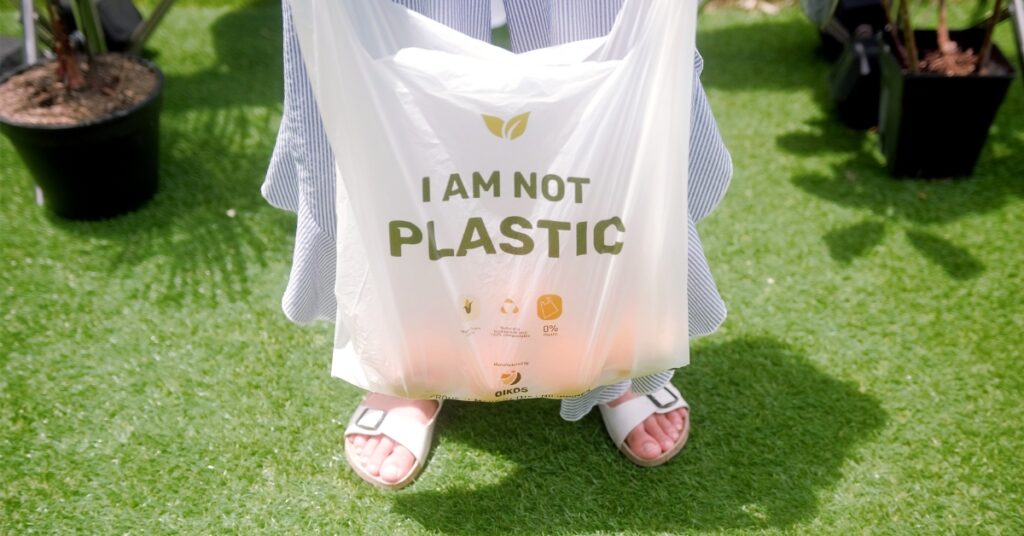 how are the polar bears