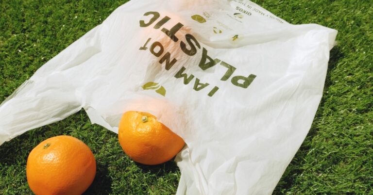 4 Companies That Opt for Sustainable Food Packaging Uses