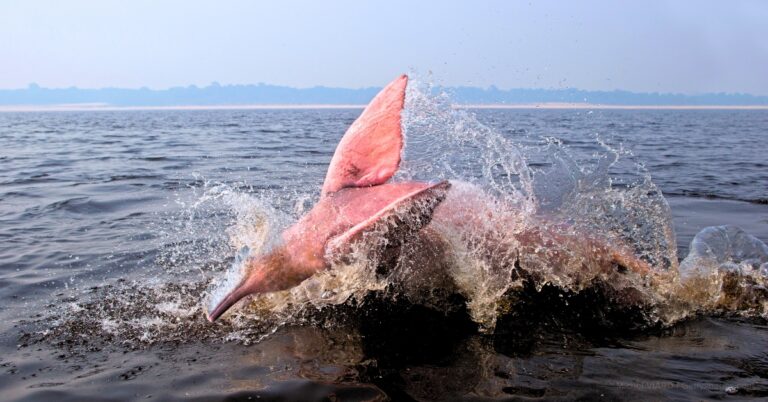 Using Recycling with Waste Reduction to Fight Plastic Pollution