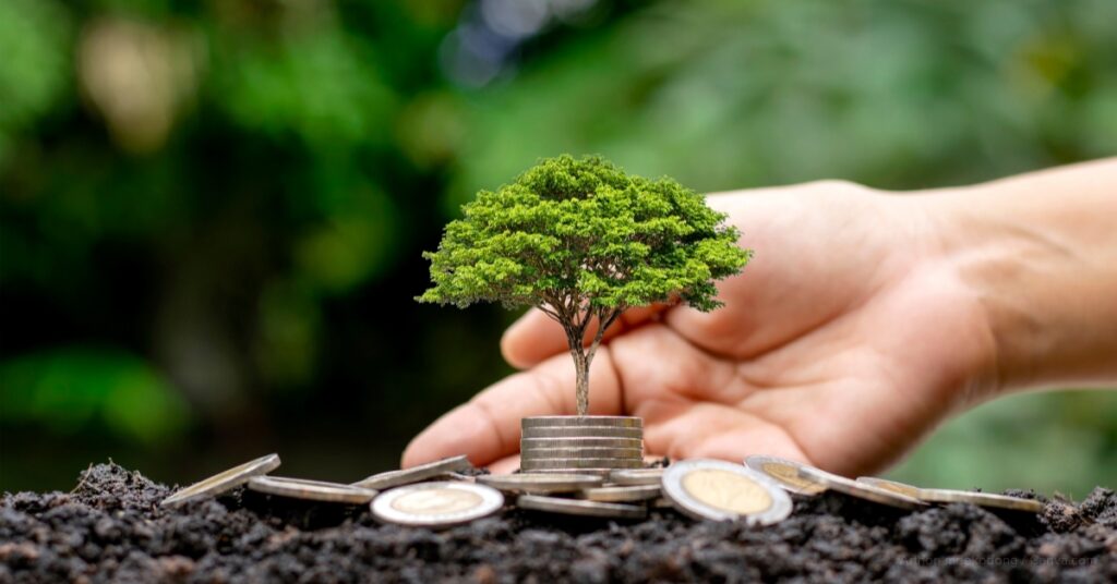 how to live a sustainable lifestyle